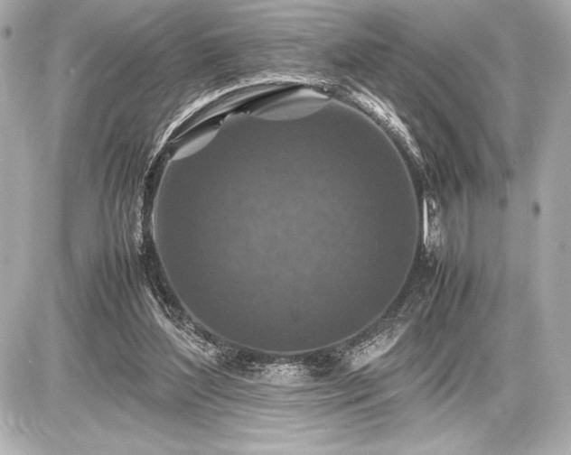 X0000086960204200704231459