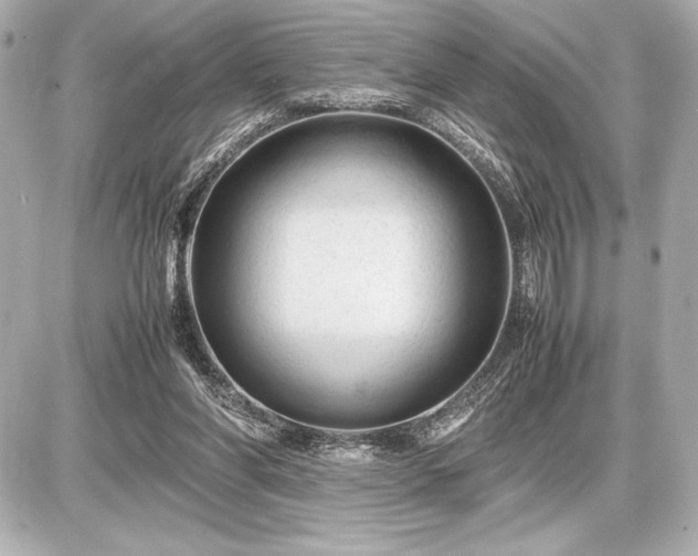 X0000086960206200704231459