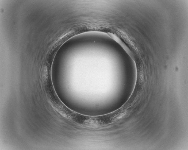 X0000086960211200704231459