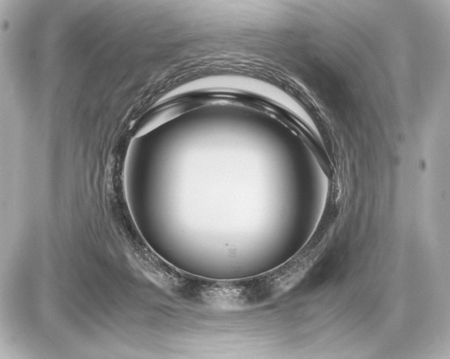 X0000086960217200704231459