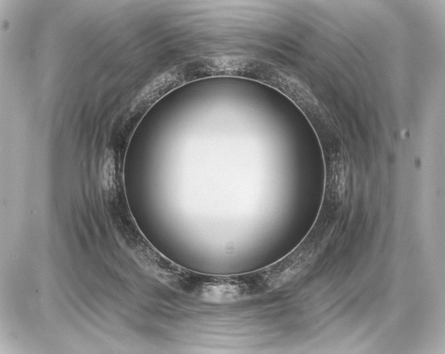 X0000086960220200704231458
