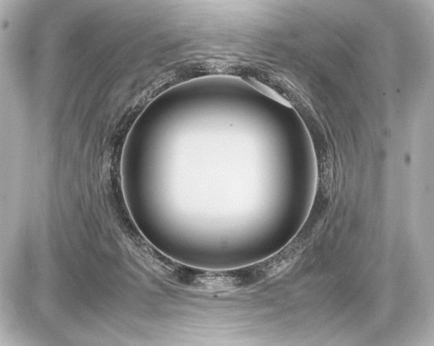 X0000086960221200704231458
