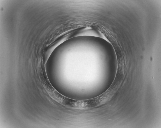 X0000086960225200704231458