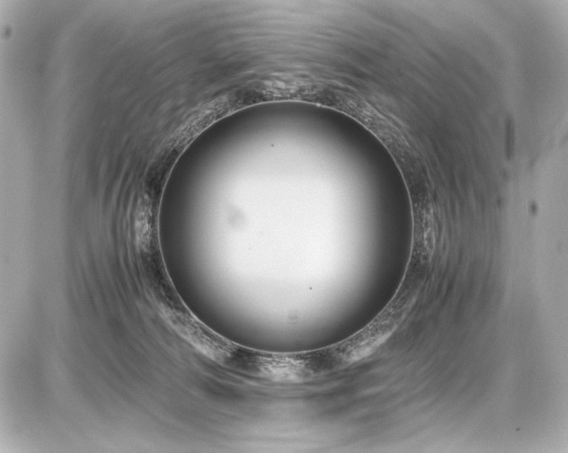 X0000086960226200704231458