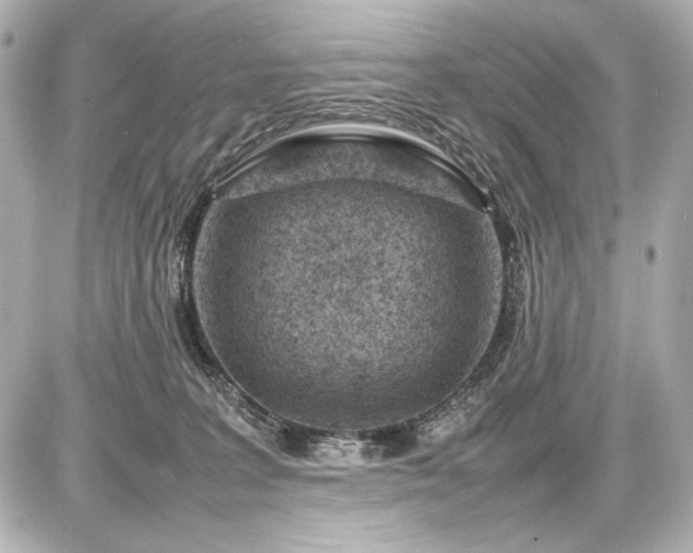 X0000086960227200704231458