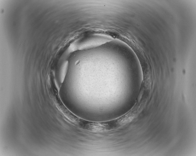 X0000086960229200704231458