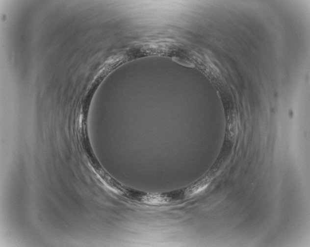 X0000086960231200704231458