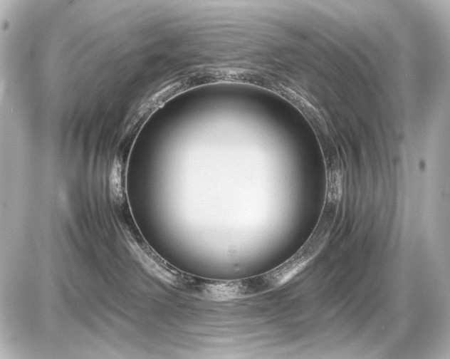 X0000086960238200704231458