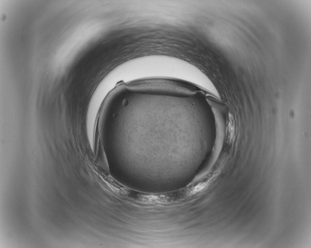 X0000086960239200704231458