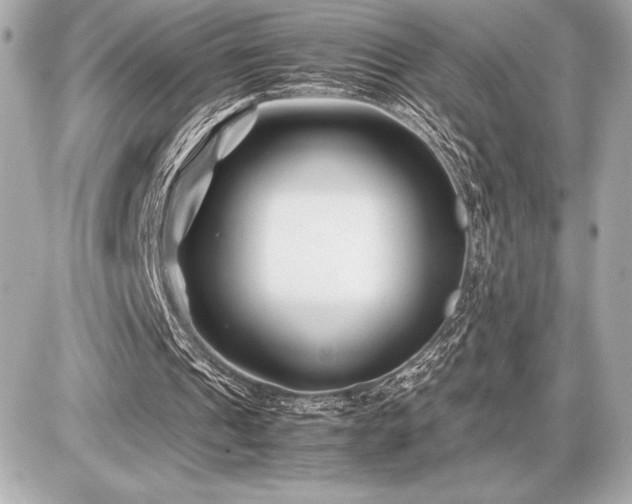X0000086960241200704231457