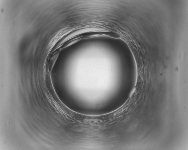 X0000086960242200704231457