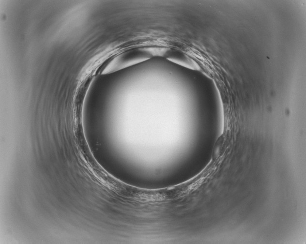 X0000086960245200704231457