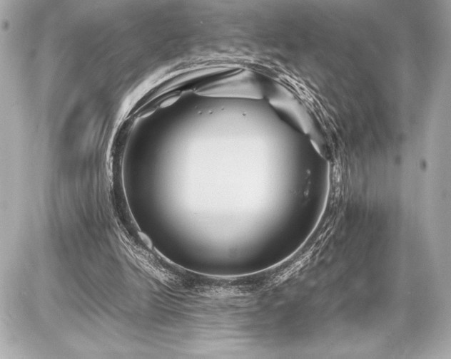 X0000086960246200704231457