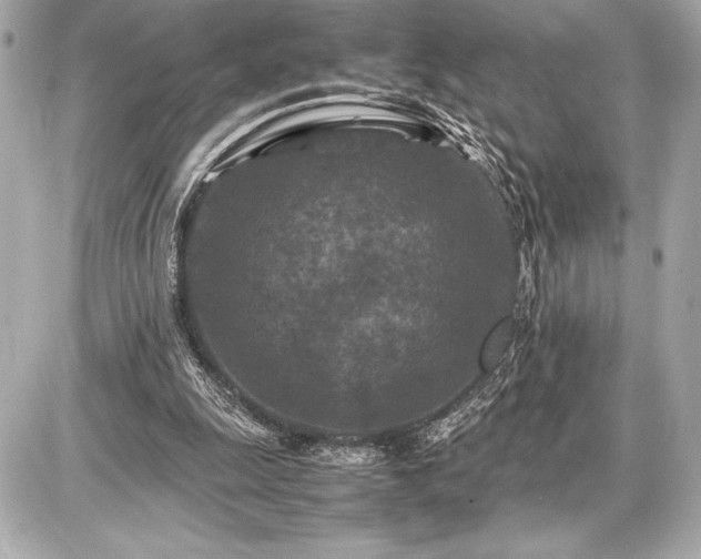 X0000086960247200704231457
