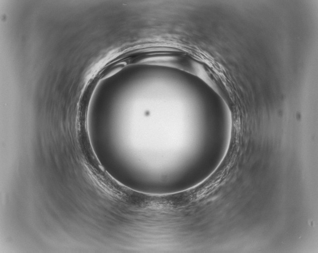 X0000086960248200704231457