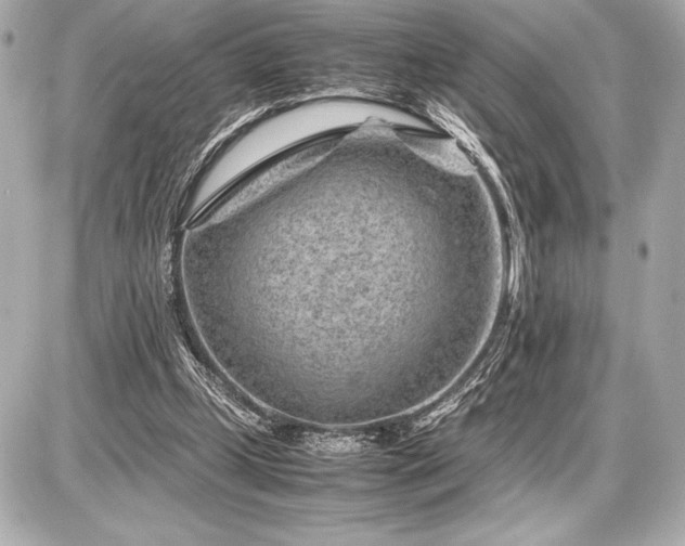 X0000086960249200704231457