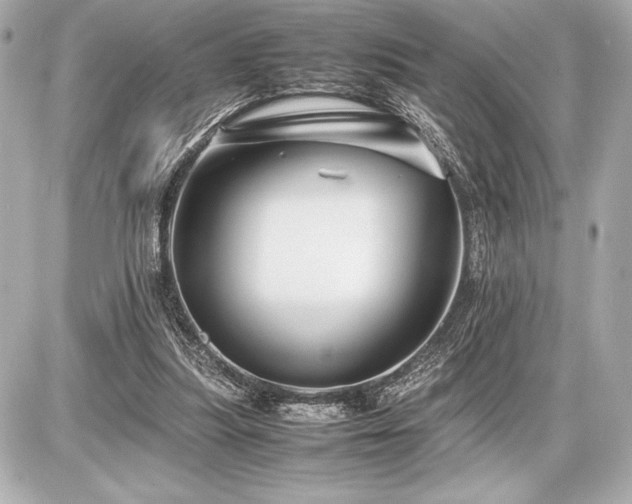 X0000086960251200704231458