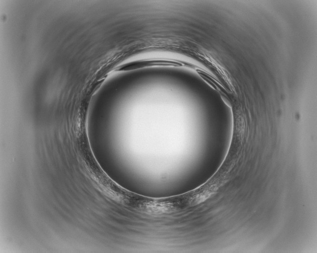 X0000086960261200704231458