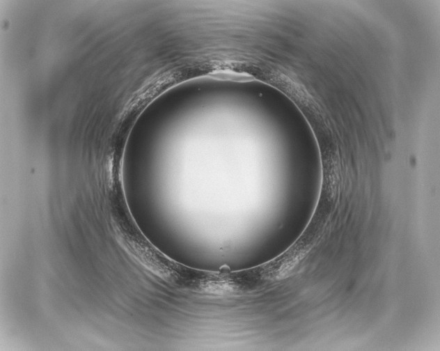 X0000086960262200704231458