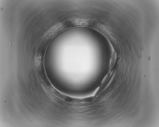 X0000086960263200704231458