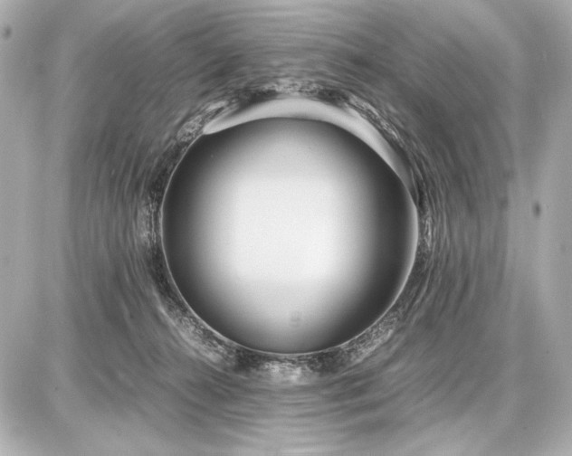 X0000086960272200704231458