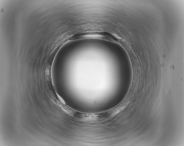 X0000086960288200704231458
