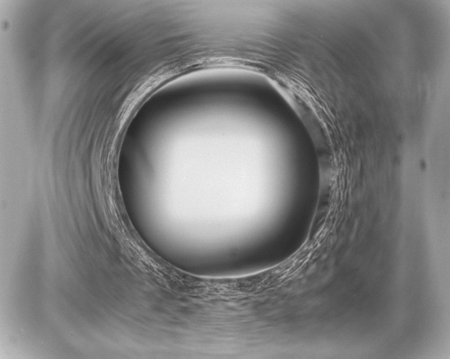 X0000086960289200704231457