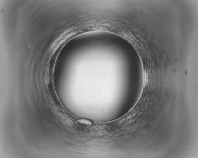 X0000086960291200704231457