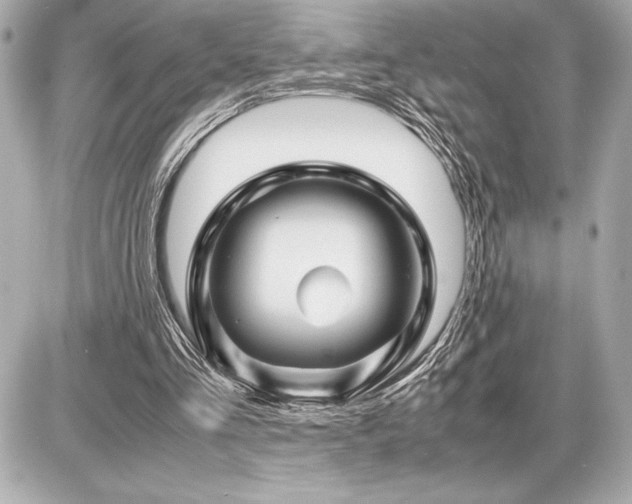 X0000086960293200704231457