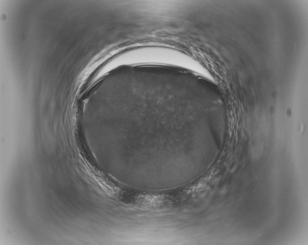 X0000086960295200704231457