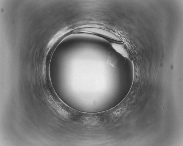 X0000086960296200704231457
