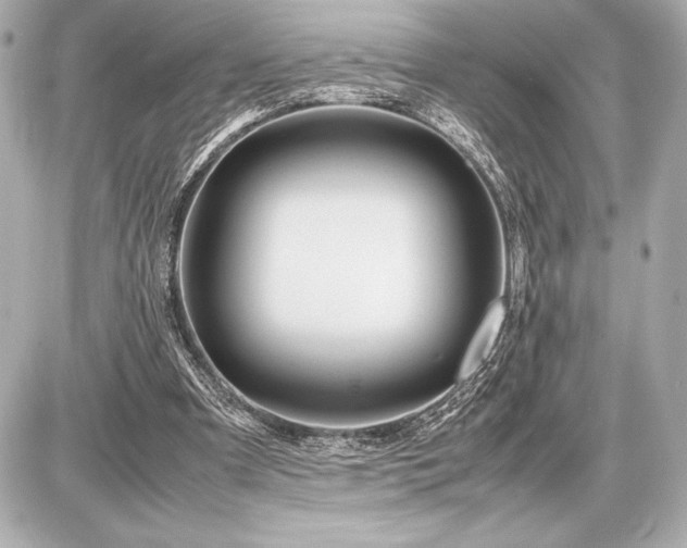 X0000086960297200704231457