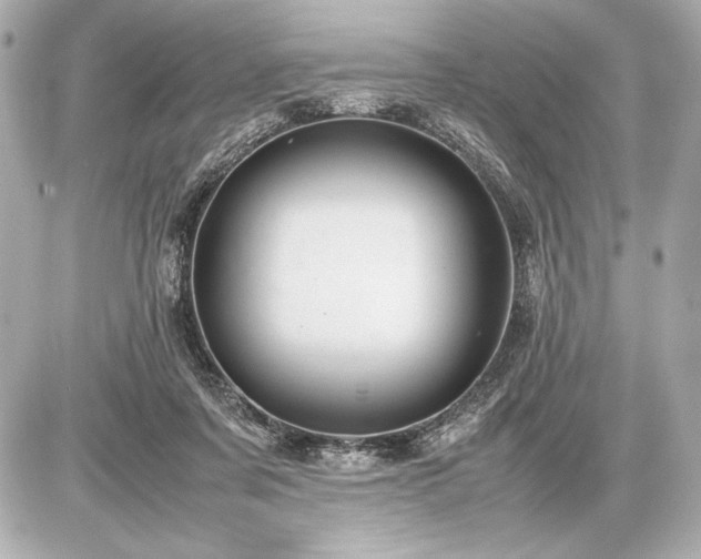 X0000086960311200704231457