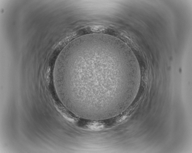 X0000086960319200704231457