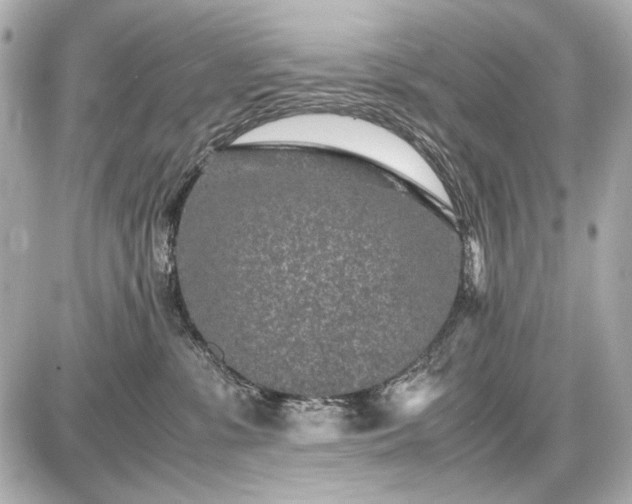 X0000086960331200704231457
