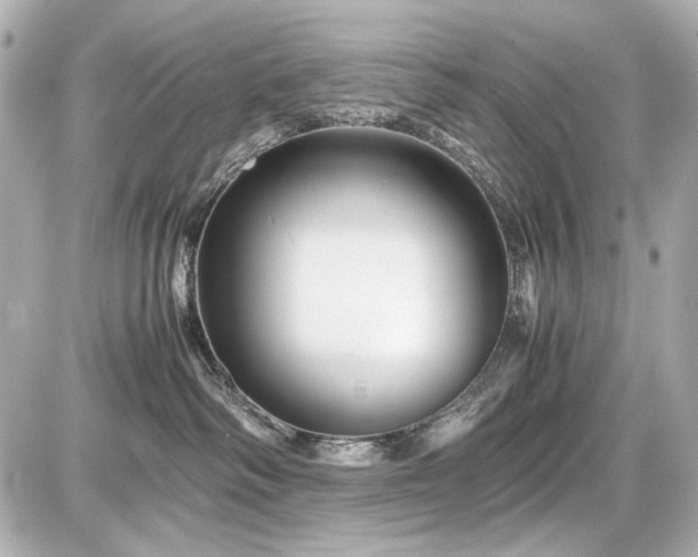 X0000086960334200704231457