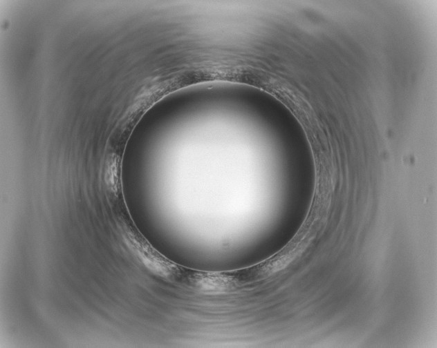 X0000086960336200704231457