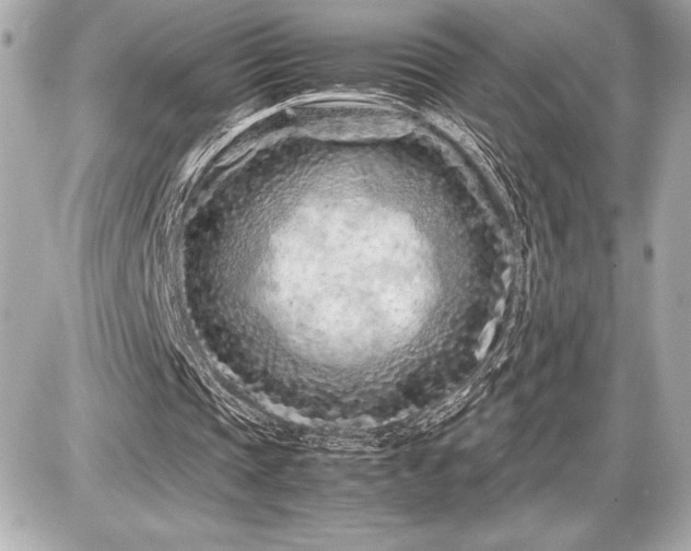 X0000086960337200704231456