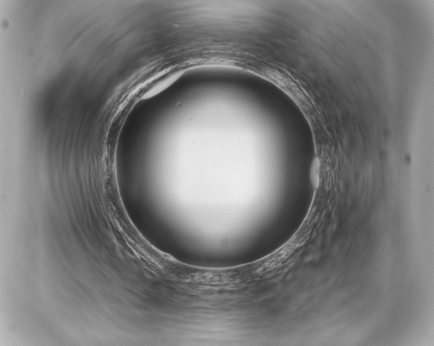 X0000086960338200704231456