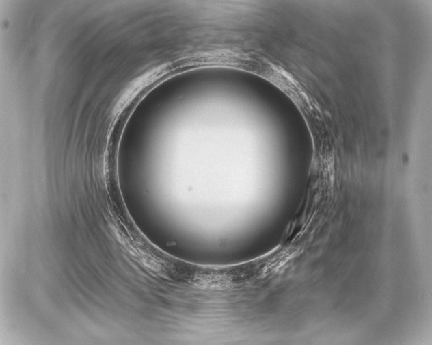 X0000086960340200704231456