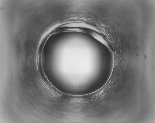 X0000086960342200704231456
