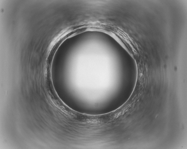 X0000086960344200704231456