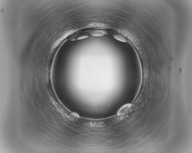 X0000086960345200704231456