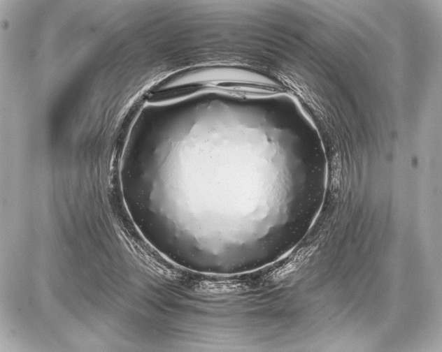 X0000086960351200704231456