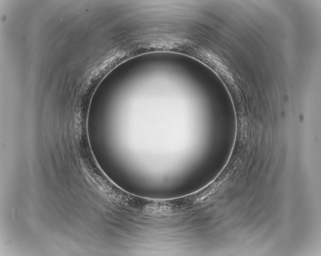 X0000086960354200704231456
