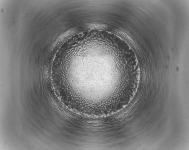 X0000086960357200704231456