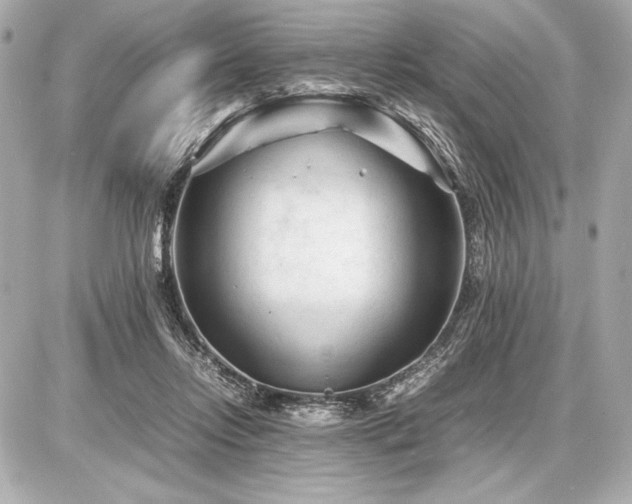 X0000086960358200704231456