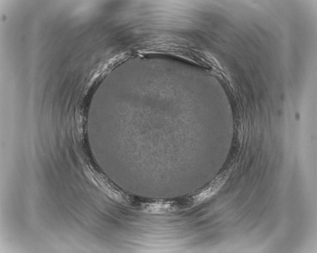 X0000086960366200704231456