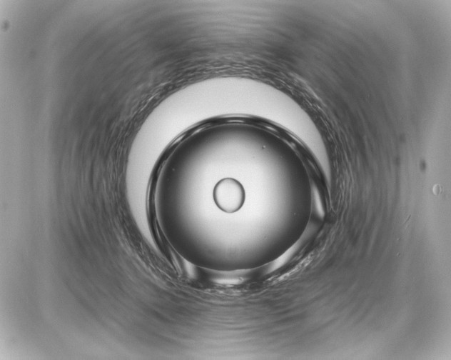 X0000086960368200704231456