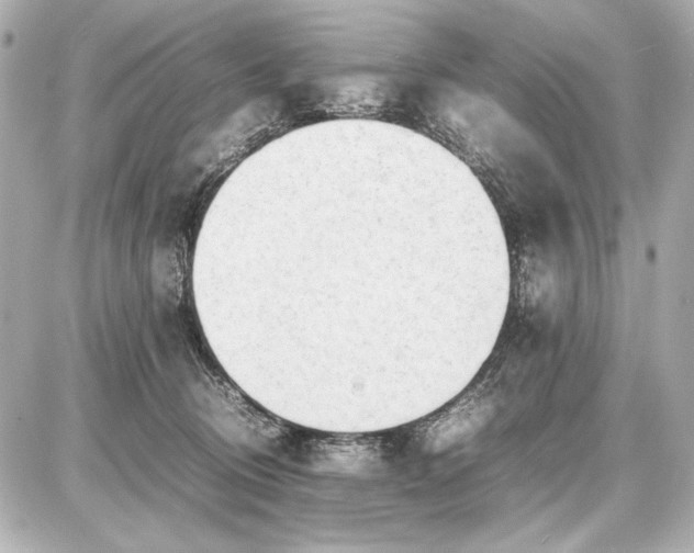 X0000086960370200704231456